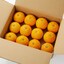愛媛県産　増田柑園の不揃い「甘夏」約３ｋｇ