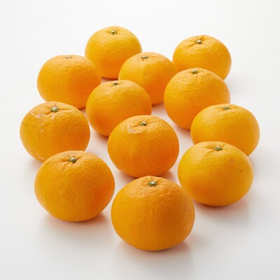 愛媛県産　増田柑園の不揃い「甘夏」約３ｋｇ
