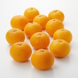愛媛県産　増田柑園®の不揃い「甘夏」約３ｋｇ