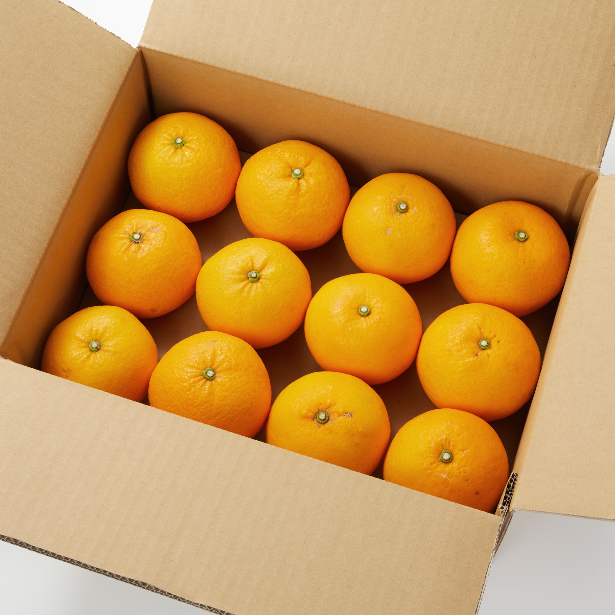 愛媛県産　増田柑園®の不揃い「甘夏・サンフルーツ」食べ比べセット　約３ｋｇ