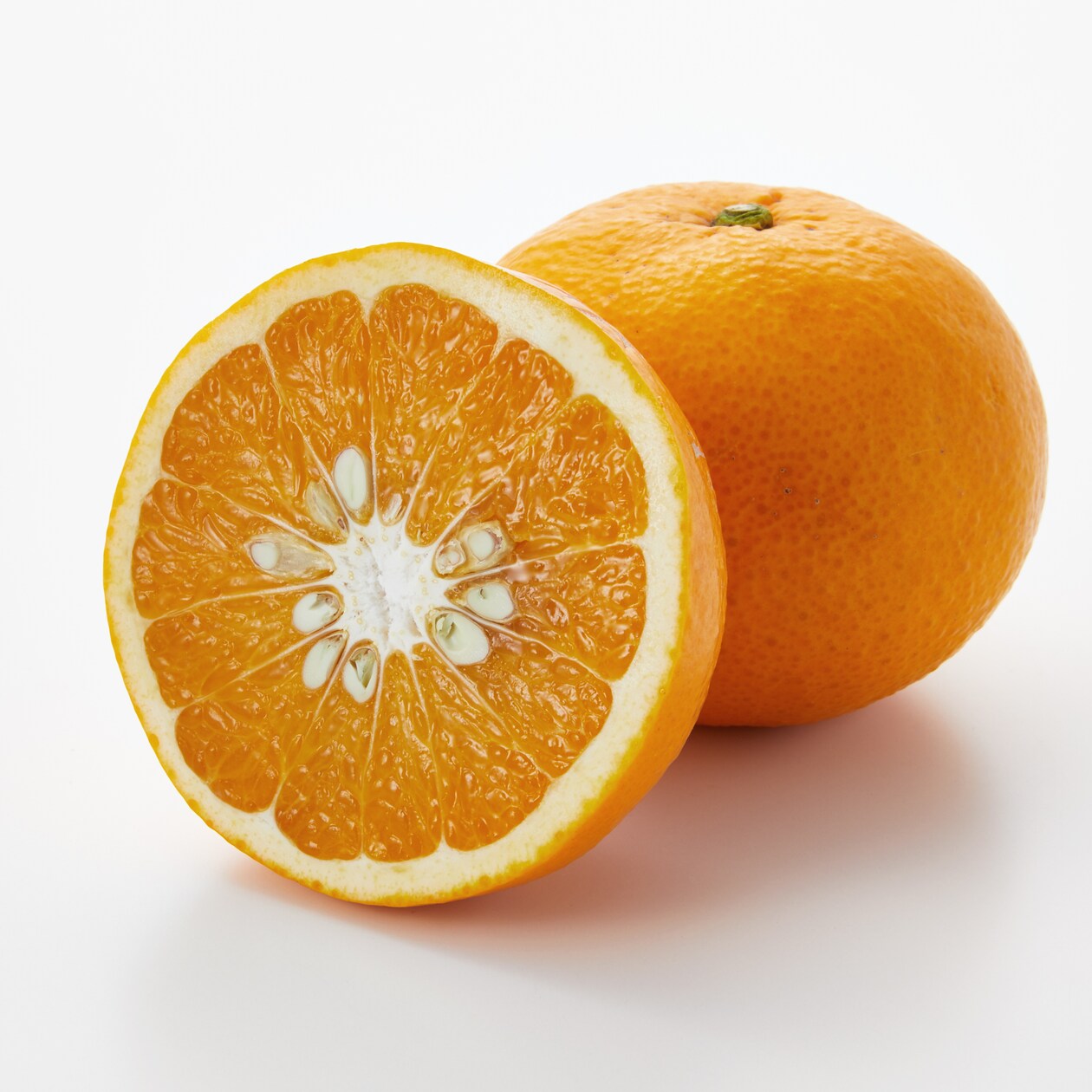 愛媛県産　増田柑園の不揃い「甘夏・サンフルーツ」食べ比べセット　約３ｋｇ