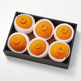 愛媛県産　増田柑園®の低温熟成「不知火」　６玉