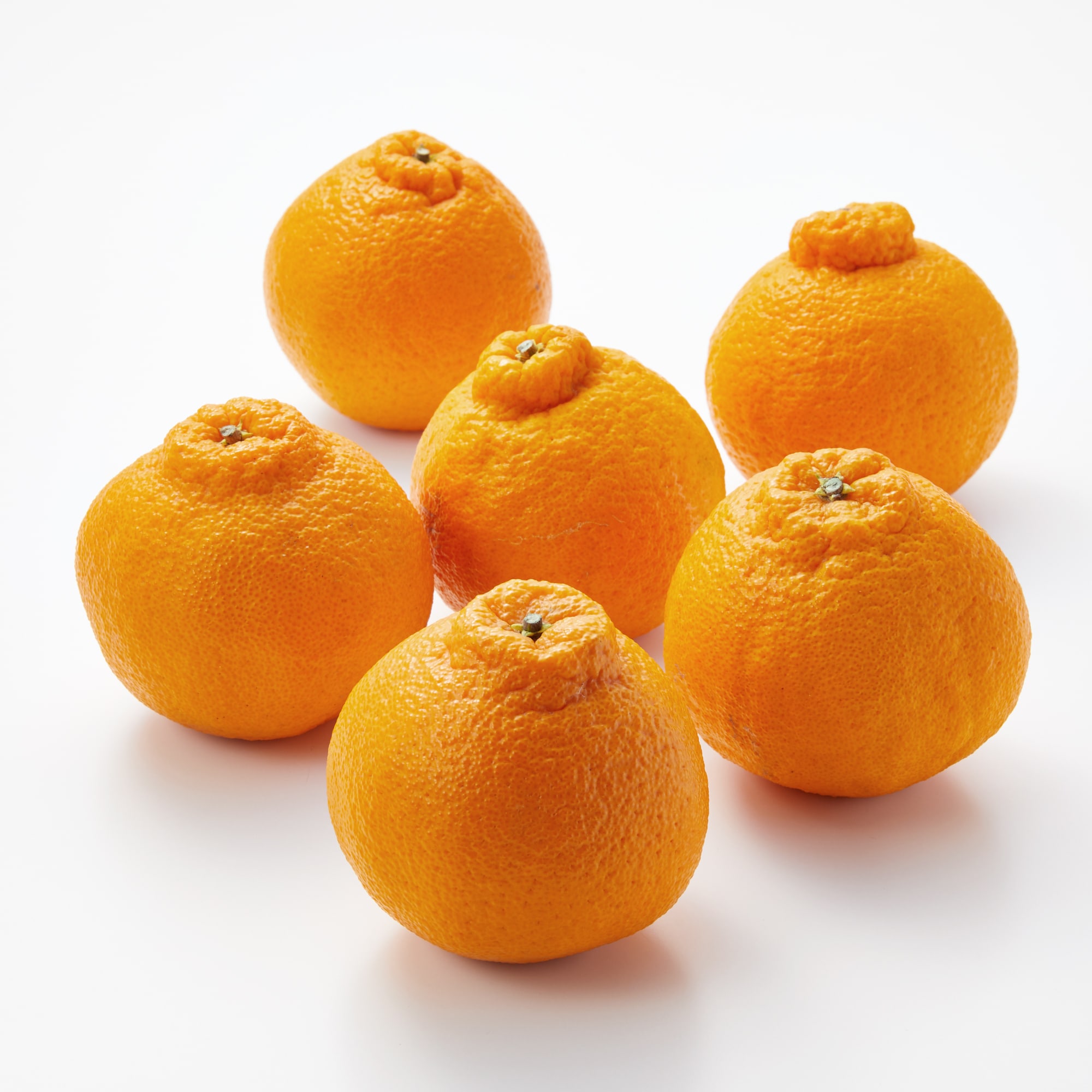 愛媛県産　増田柑園®の低温熟成「不知火」　６玉