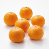 愛媛県産　増田柑園®の低温熟成「清見オレンジ」　6玉
