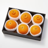 愛媛県産　増田柑園®の低温熟成「不知火・清見オレンジ」セット　各種３玉