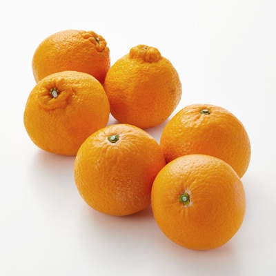 愛媛県産　増田柑園®の低温熟成「不知火・清見オレンジ」セット　各種３玉