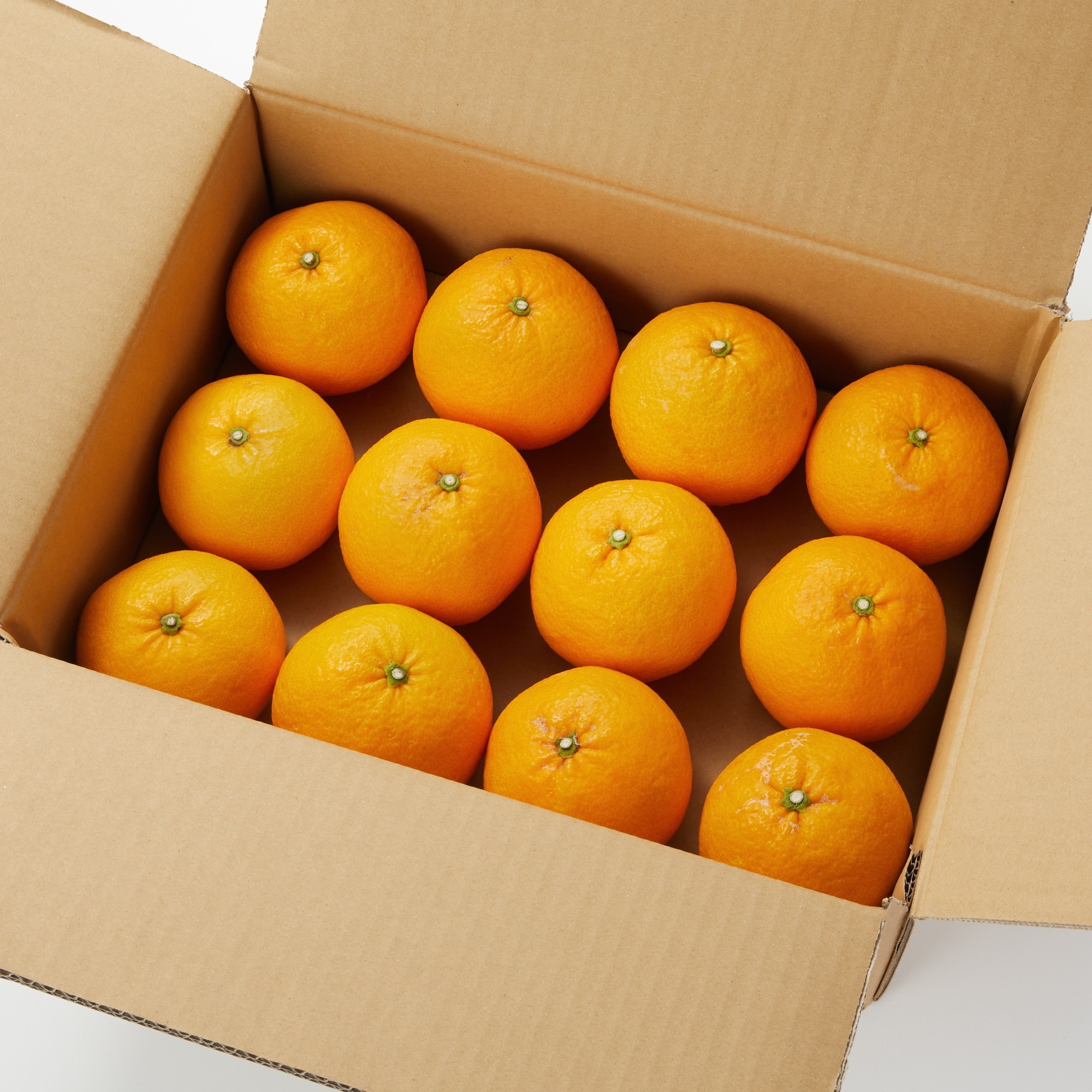 愛媛県産　増田柑園®の低温熟成「甘夏」　 約３ｋｇ