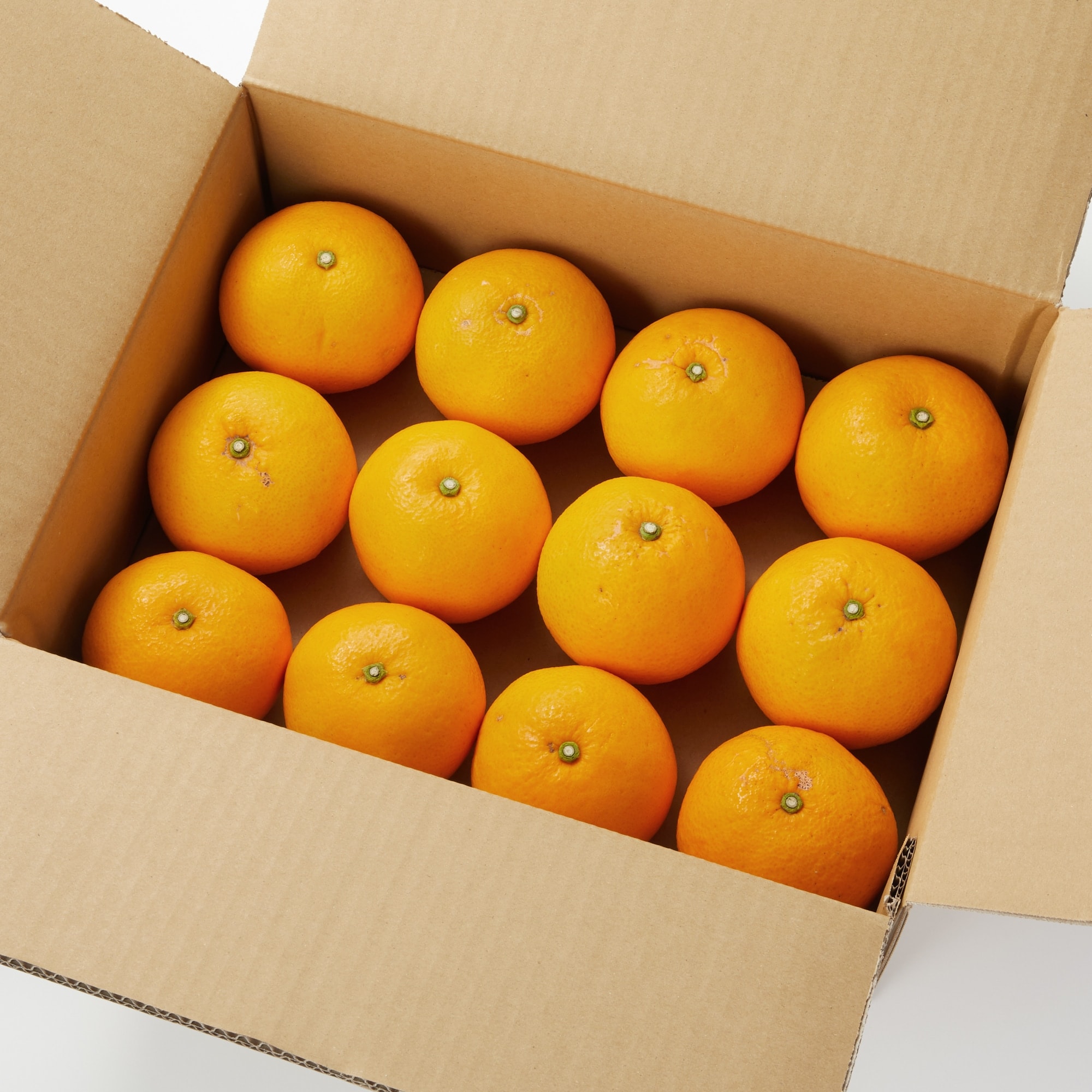 愛媛県産 増田柑園®の低温熟成「サンフルーツ」 約3kg | 無印良品