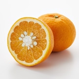 愛媛県産　増田柑園®の低温熟成「甘夏・サンフルーツ」セット　 約３ｋｇ