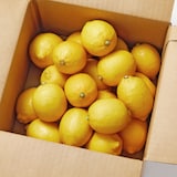 愛媛県産　増田柑園®の低温熟成「レモン」　約２ｋｇ