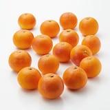 愛媛県産　増田柑園®の低温熟成「ブラッドオレンジ」　約２ｋｇ