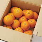 愛媛県産　増田柑園®の低温熟成「清見オレンジ・ブラッドオレンジ」セット　約２ｋｇ