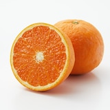 愛媛県産　増田柑園®の低温熟成「清見オレンジ・ブラッドオレンジ」セット　約２ｋｇ