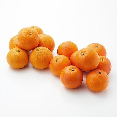 愛媛県産　増田柑園®の低温熟成「清見オレンジ・ブラッドオレンジ」セット　約２ｋｇ