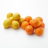 愛媛県産　増田柑園®の低温熟成「レモン・ブラッドオレンジ」セット　約２ｋｇ