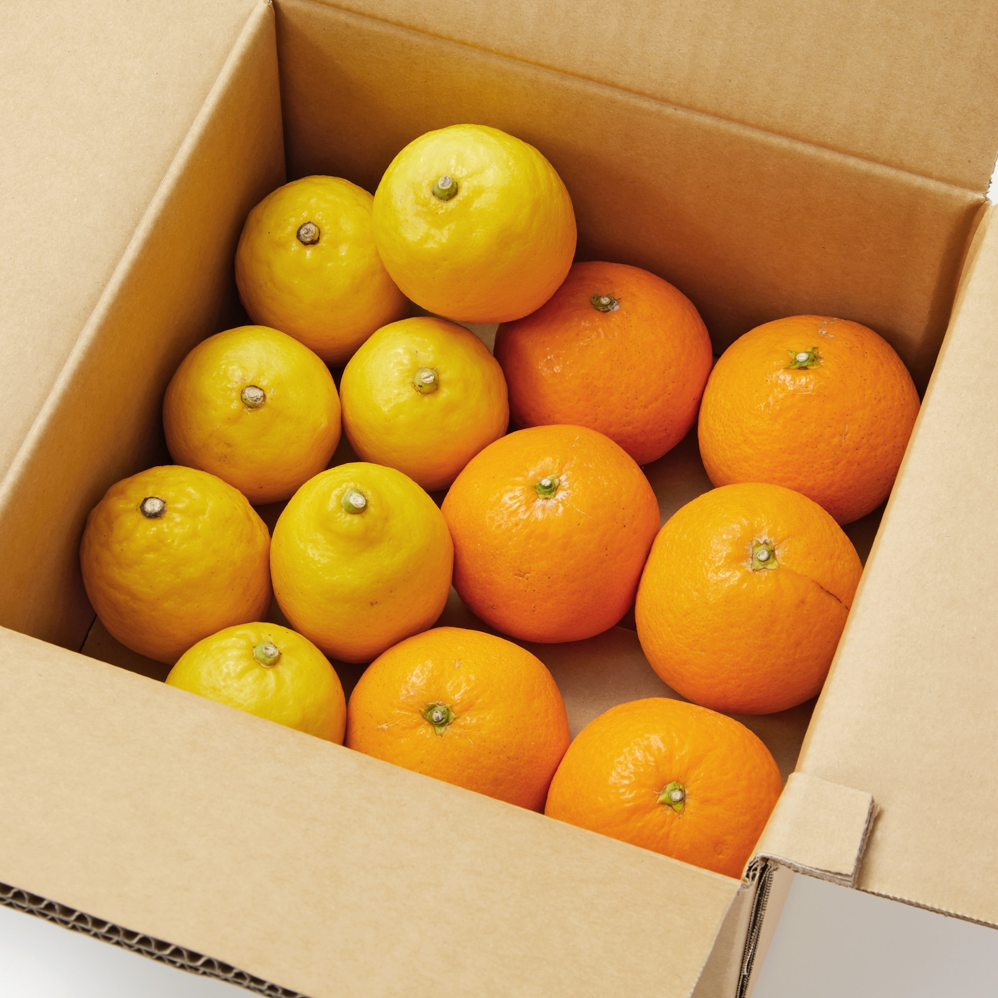 愛媛県産　増田柑園®の低温熟成「レモン・清見オレンジ」セット　約２ｋｇ