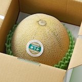 茨城県産　方波見農園のメロン「ゆうか」　約１．２ｋｇ