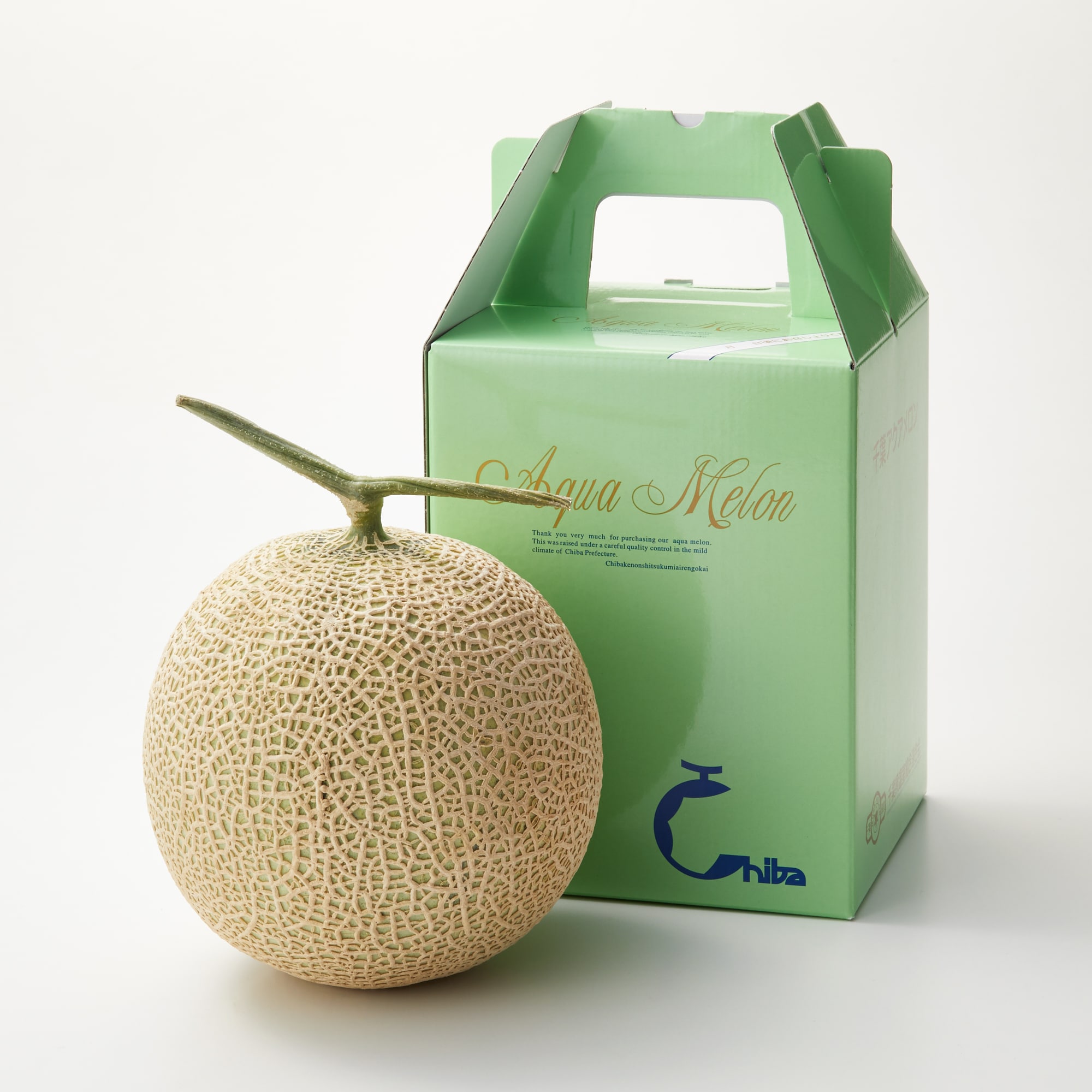 千葉県鴨川市　高橋メロン農園　「千葉アクアメロン」　Ｌ玉（１．４ｋｇ程度）１玉