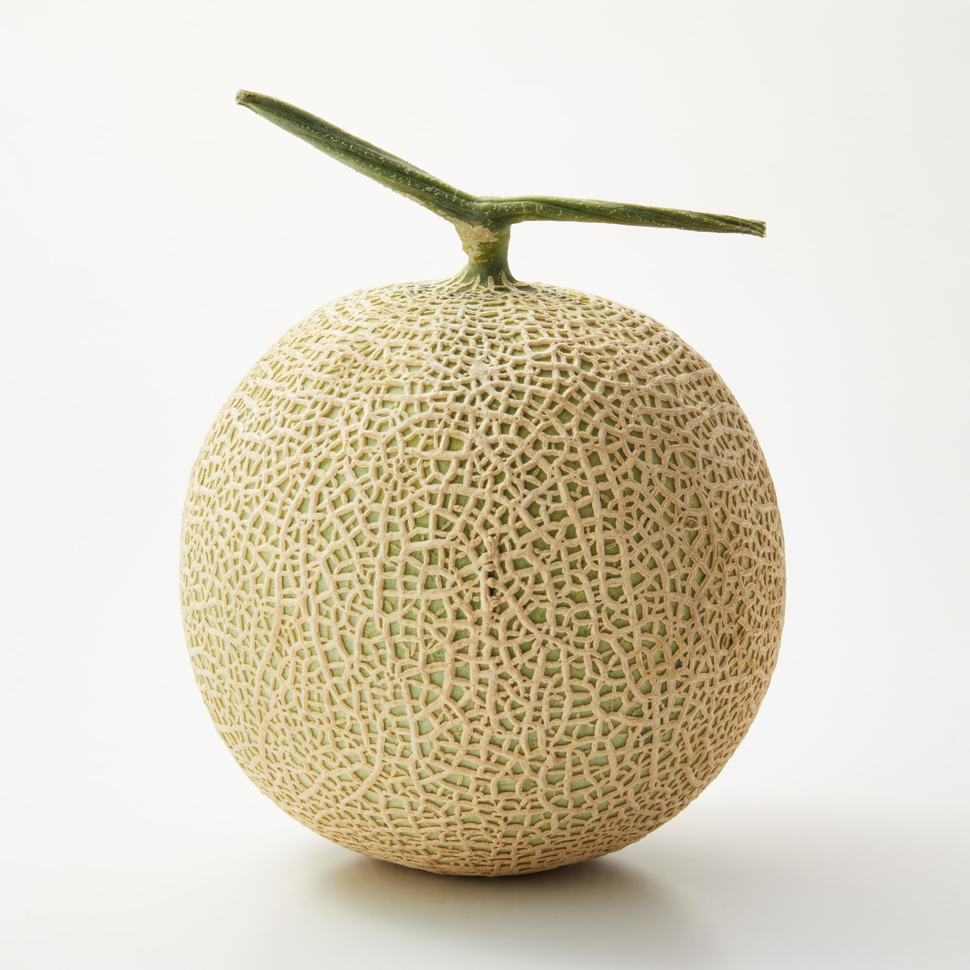 メロン 毎年300セットが約12時間で完売する人気のメロン『電解水素水で育てた