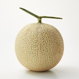 千葉県鴨川市　高橋メロン農園　「千葉アクアメロン」　Ｌ玉（１．４ｋｇ程度）１玉