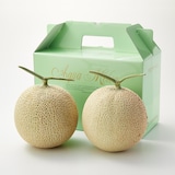 千葉県鴨川市　高橋メロン農園　「千葉アクアメロン」　Ｌ玉（１．４ｋｇ程度）２玉