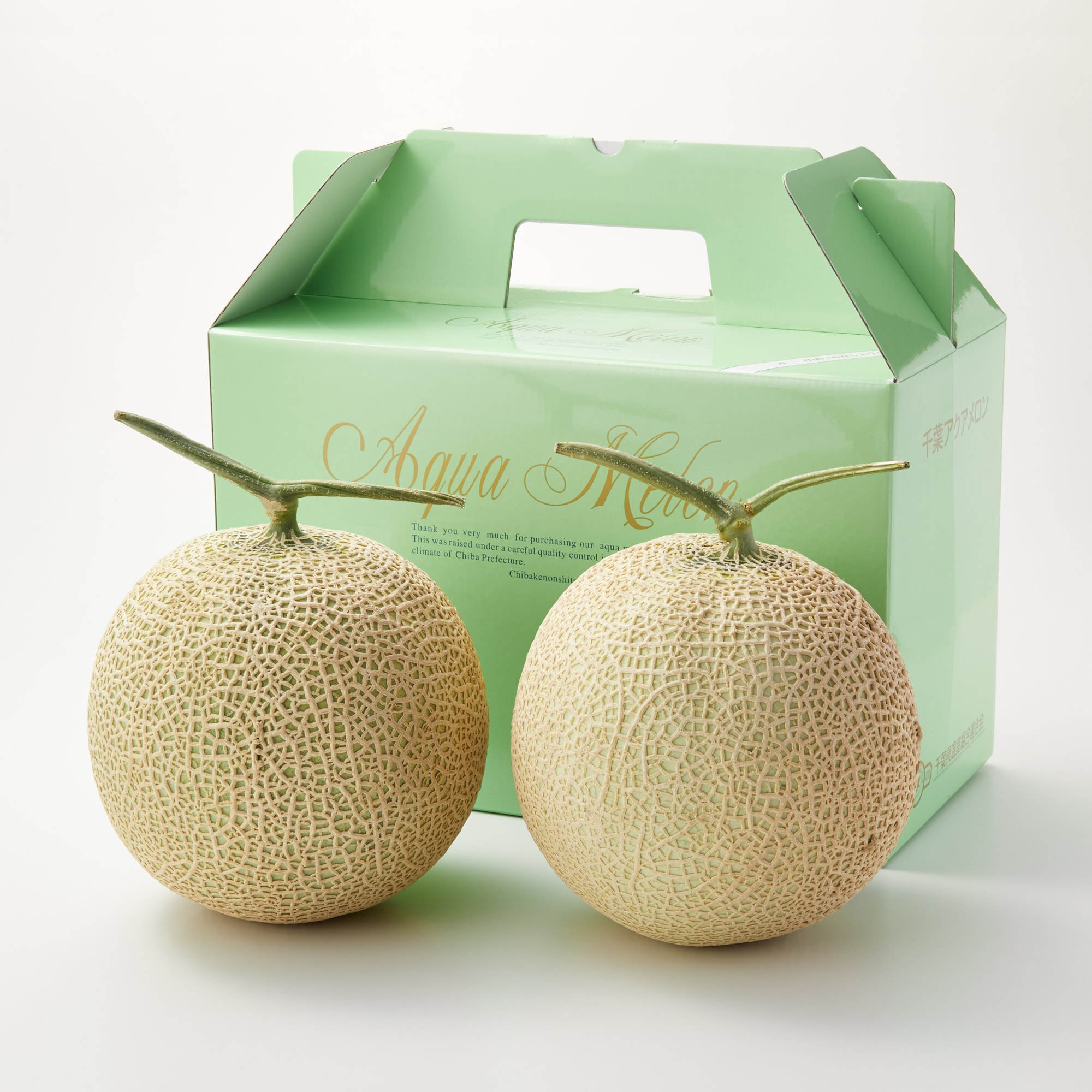 千葉県鴨川市　高橋メロン農園　「千葉アクアメロン」　Ｌ玉（１．４ｋｇ程度）２玉