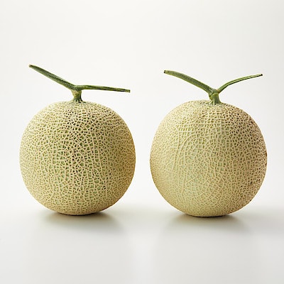 千葉県鴨川市　高橋メロン農園　「千葉アクアメロン」　Ｌ玉（１．４ｋｇ程度）２玉