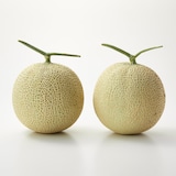 千葉県鴨川市　高橋メロン農園　「千葉アクアメロン」　Ｌ玉（１．４ｋｇ程度）２玉