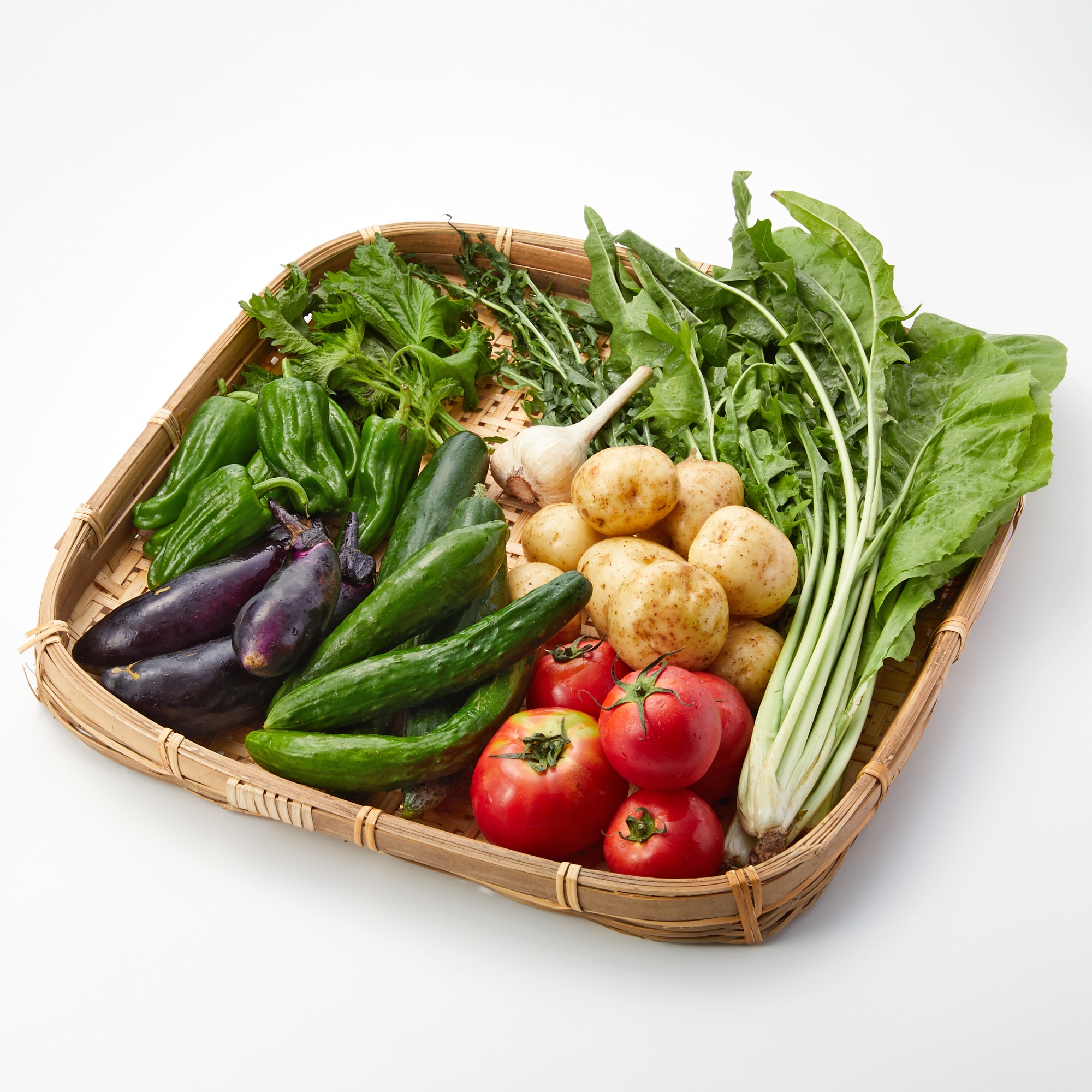 兵庫県産 チヨちゃんの野菜 「心踊る有機野菜セット」（8～10種類