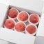 福島県産　ＡＢＥ　Ｆｒｕｉｔの桃　「あかつき」　約２ｋｇ（６～８玉）