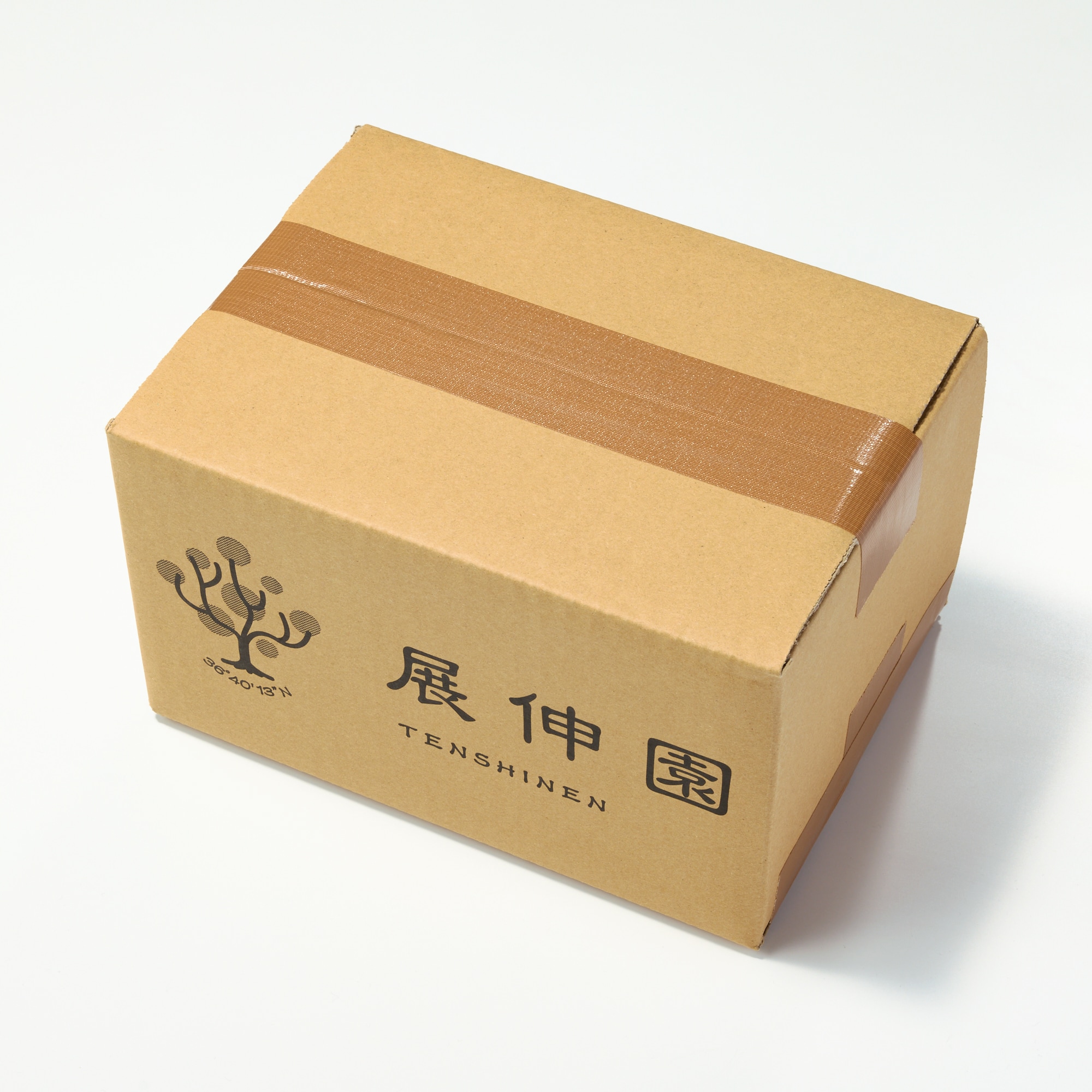 長野県産　展伸園のぶどう「シャインマスカット」約６００ｇ（１房入り）【ギフトにおすすめ】