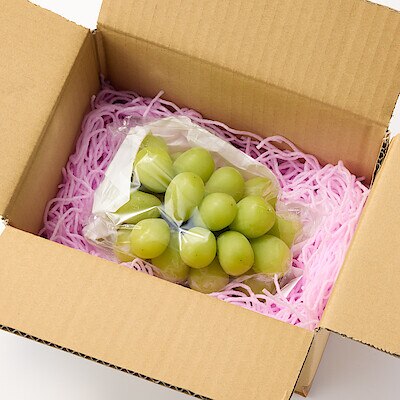 長野県産　展伸園のぶどう「シャインマスカット」約６００ｇ（１房入り）【ギフトにおすすめ】