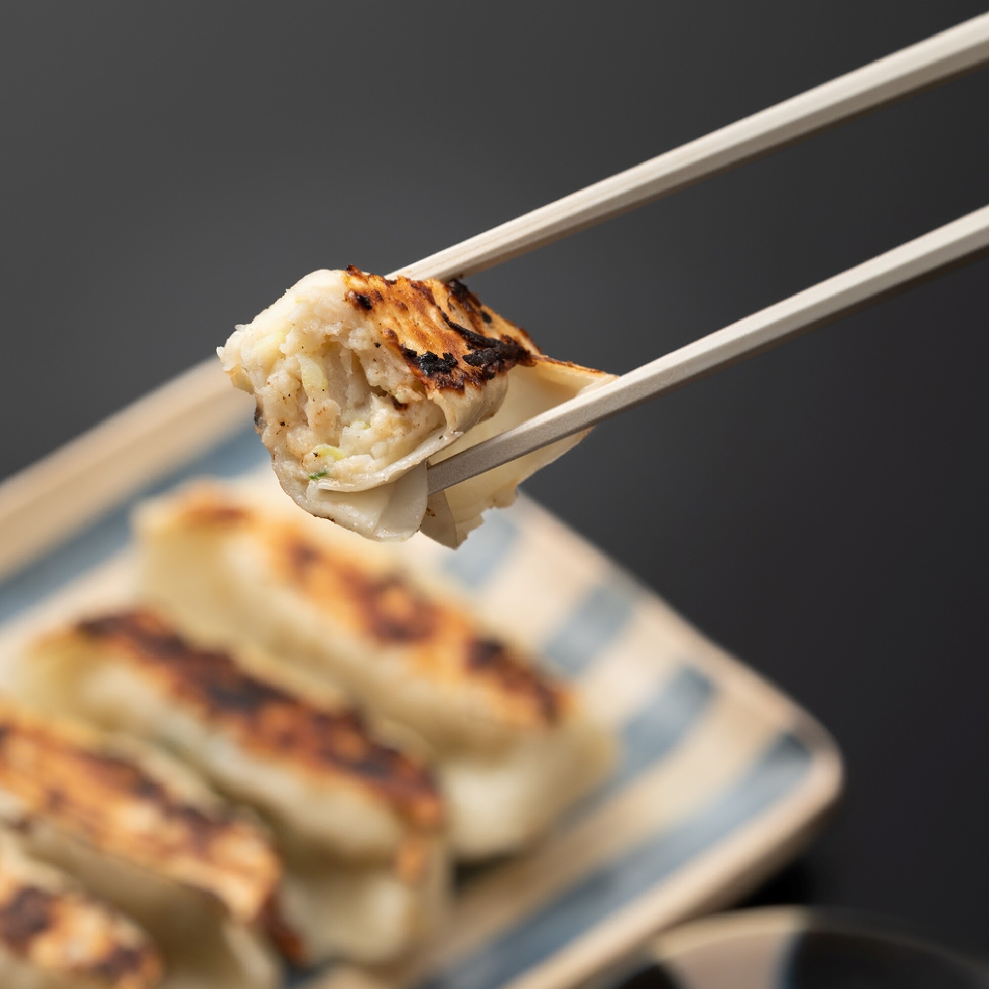 出水田鮮魚のおさかな餃子セット　（８個入×２）