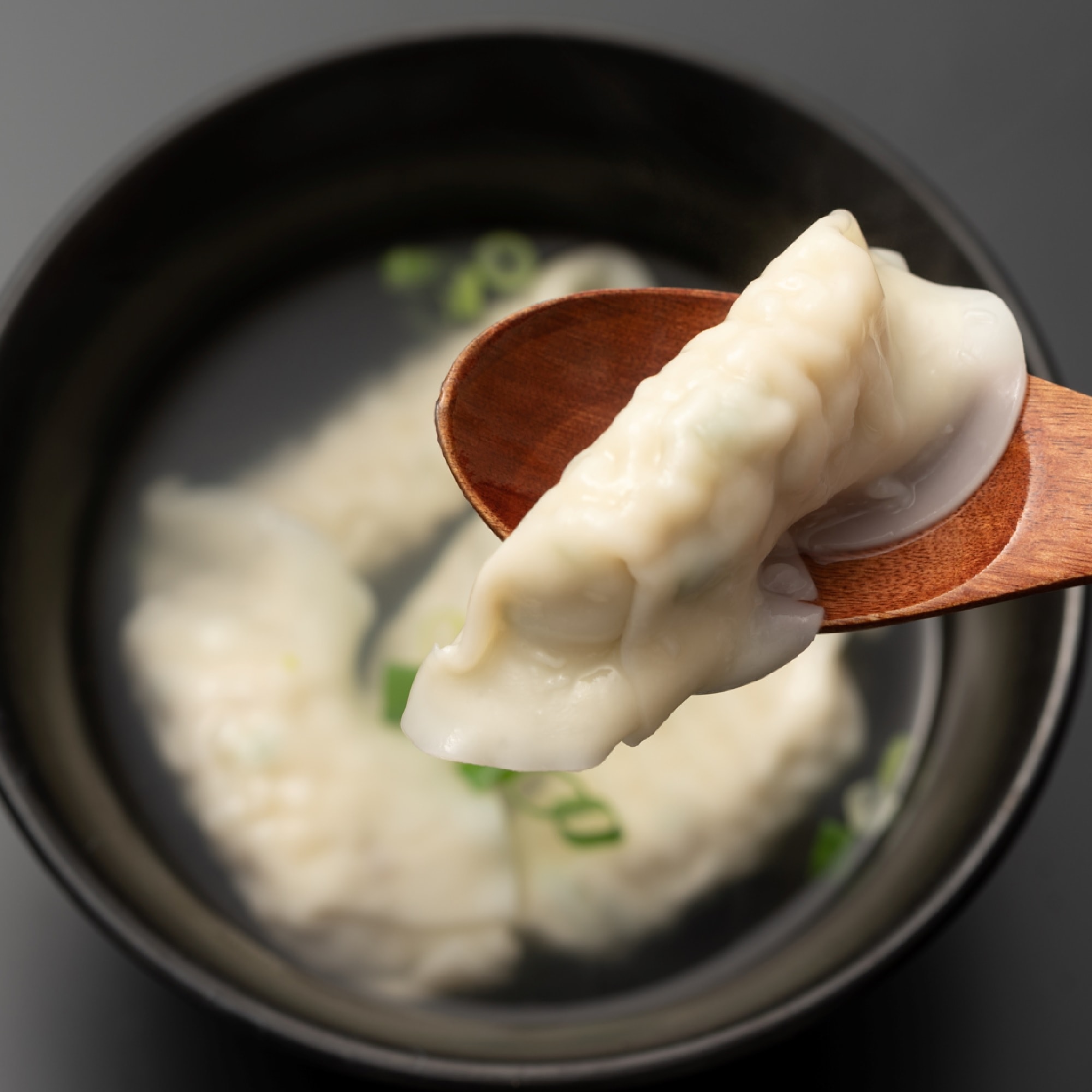 出水田鮮魚のおさかな餃子セット　（８個入×２）