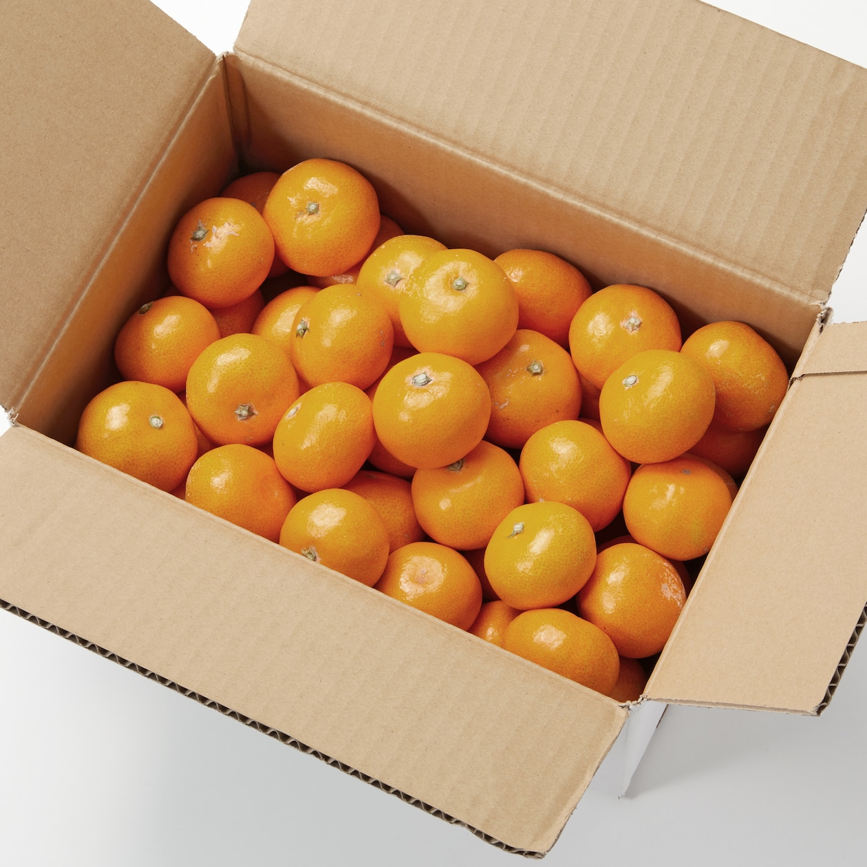 長崎県産 川口農園の「温州みかん」小玉・約３ｋｇ