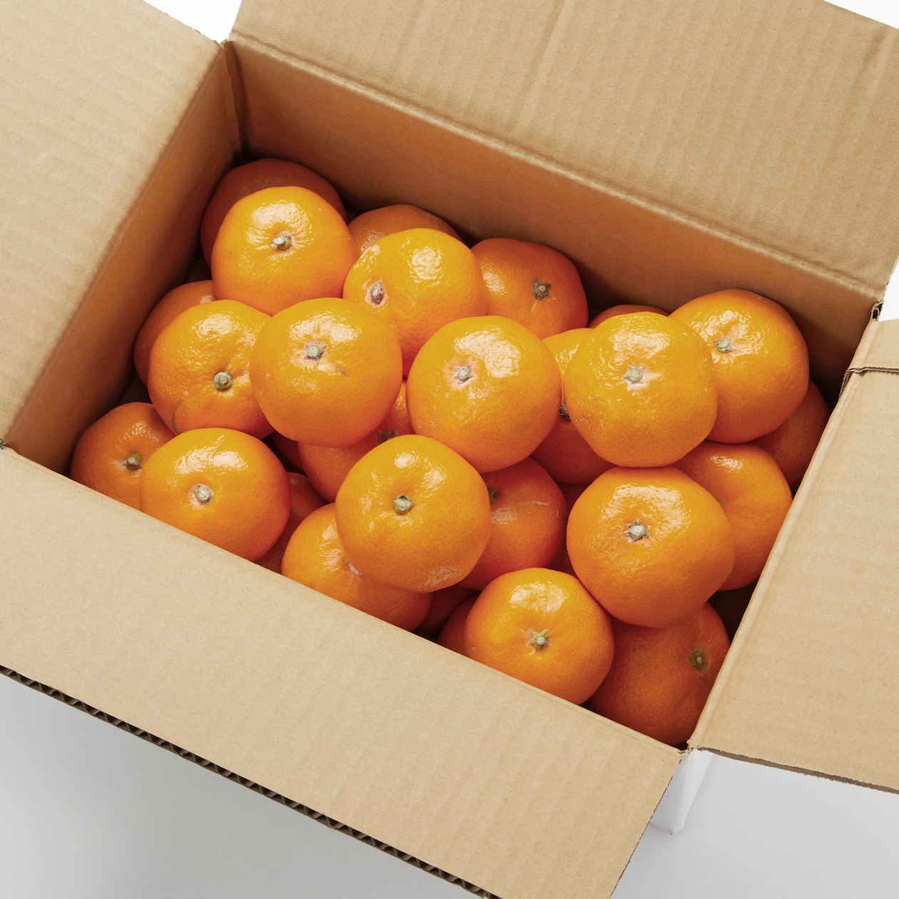 長崎県産　川口農園の温州みかん「青島温州」家庭用　Ｍ～Ｌ混合　約３ｋｇ