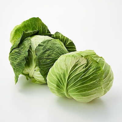 広島県呉市産　キャベツ「広甘藍」　約２．５ｋｇ（２玉）