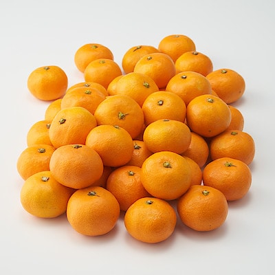 愛媛県産　増田柑園®のコロコロ「温州みかん」　約３ｋｇ