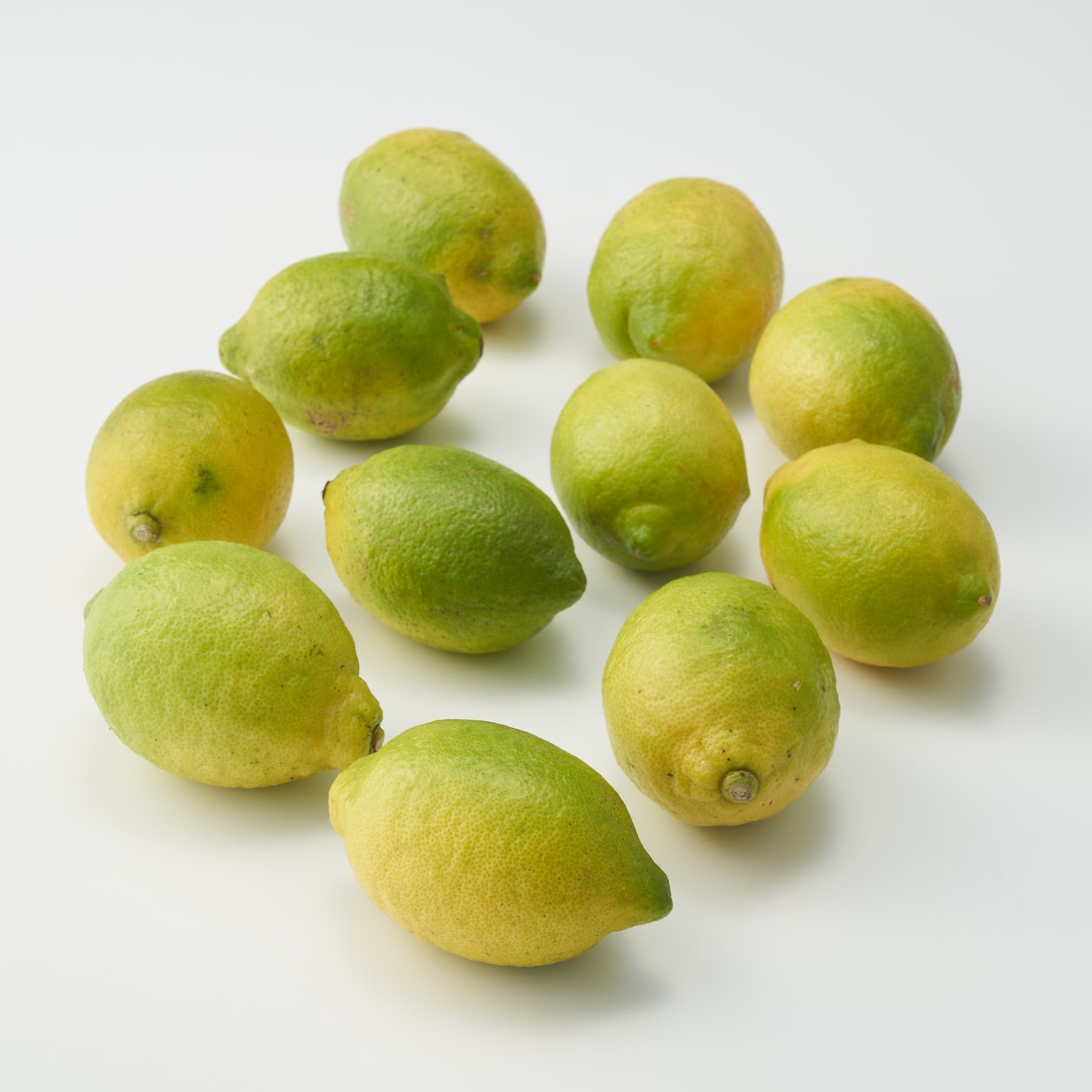 愛媛県産　無茶々園の「グリーンレモン」　約1.5ｋｇ