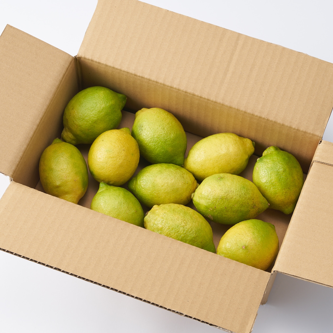 愛媛県産　無茶々園の「グリーンレモン」　約1.5ｋｇ