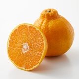 熊本県　天草農工房ふぁお　採りたてフレッシュ「不知火」５ｋｇ・家庭用