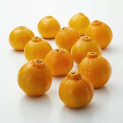 熊本県　天草農工房ふぁお　採りたてフレッシュ「不知火」５ｋｇ・家庭用