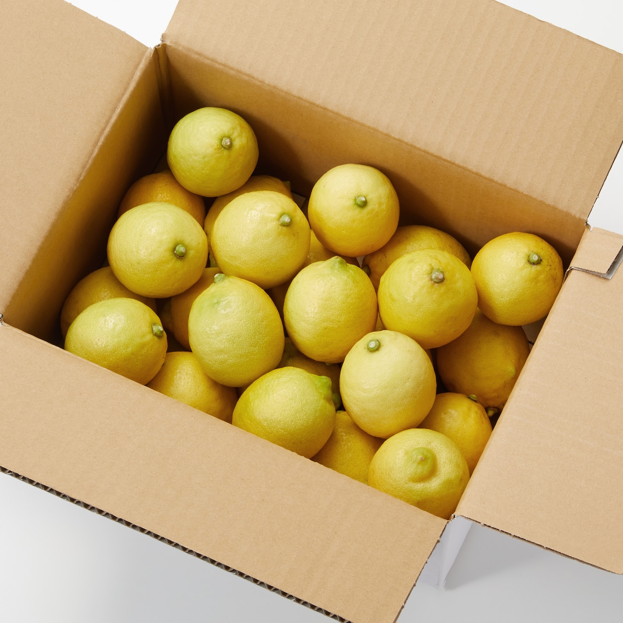 千葉県鴨川市産　鴨川レモン組合の「海と太陽のレモン」（イエローレモン）３ｋｇ