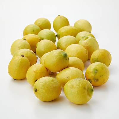 千葉県鴨川市産　鴨川レモン組合の「海と太陽のレモン」（イエローレモン）３ｋｇ・家庭用