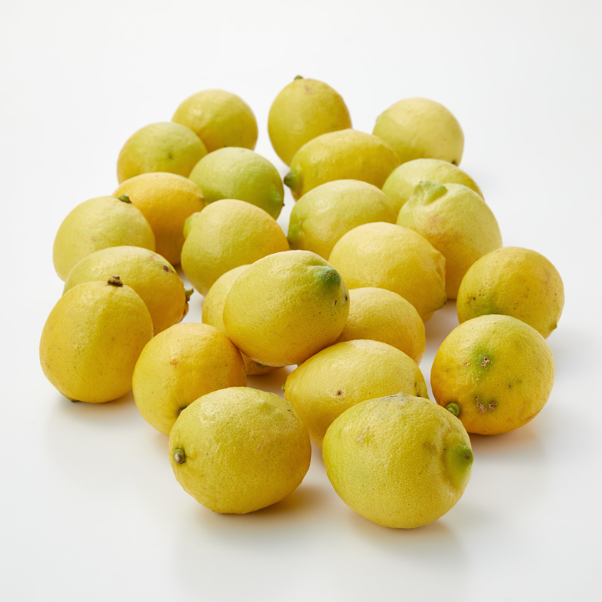 千葉県鴨川市産　鴨川レモン組合の「海と太陽のレモン」（イエローレモン）３ｋｇ・家庭用