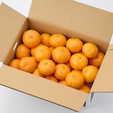 和歌山県産　早和果樹園の「有田みかん」　約３ｋｇ