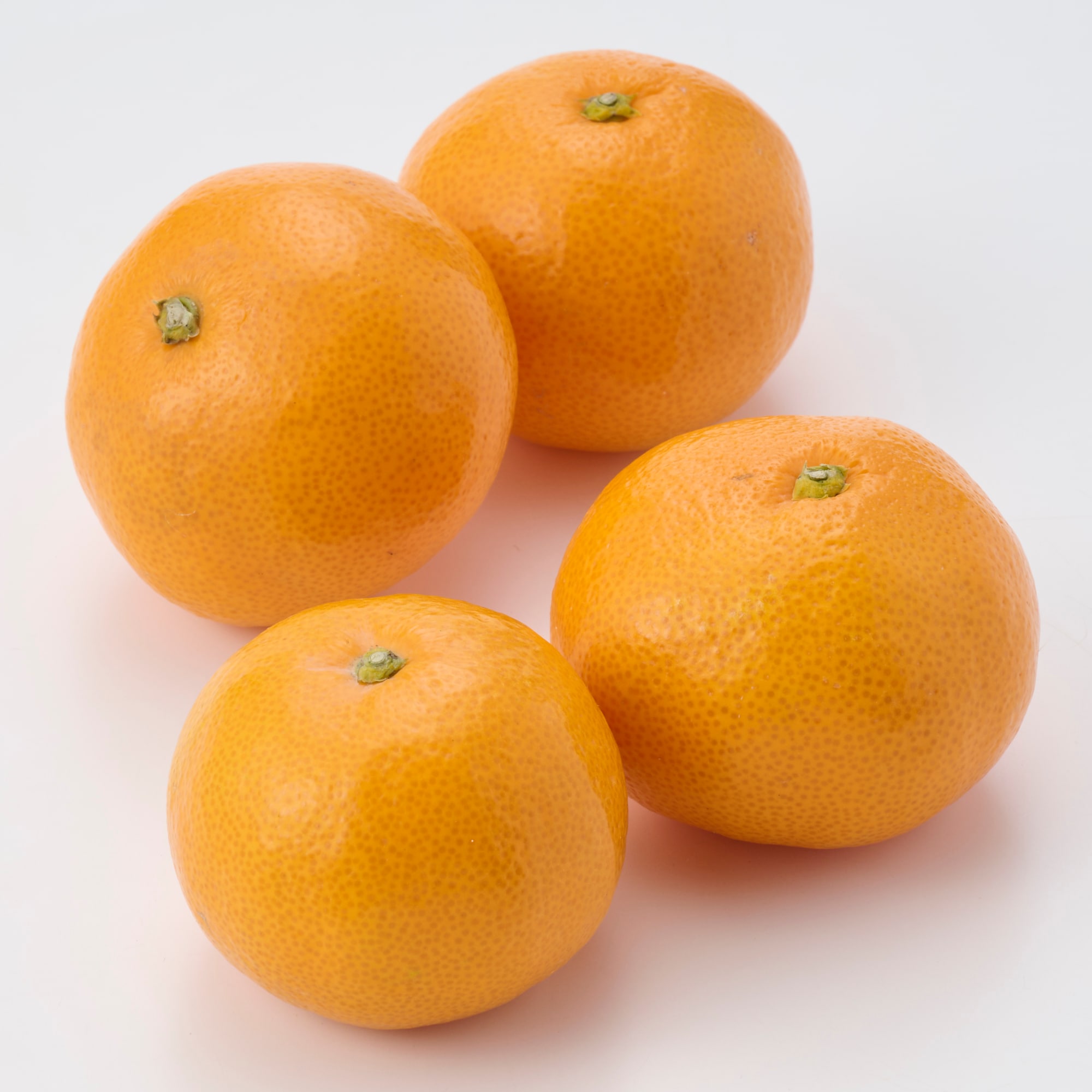 和歌山県産　早和果樹園の「有田みかん」　約３ｋｇ