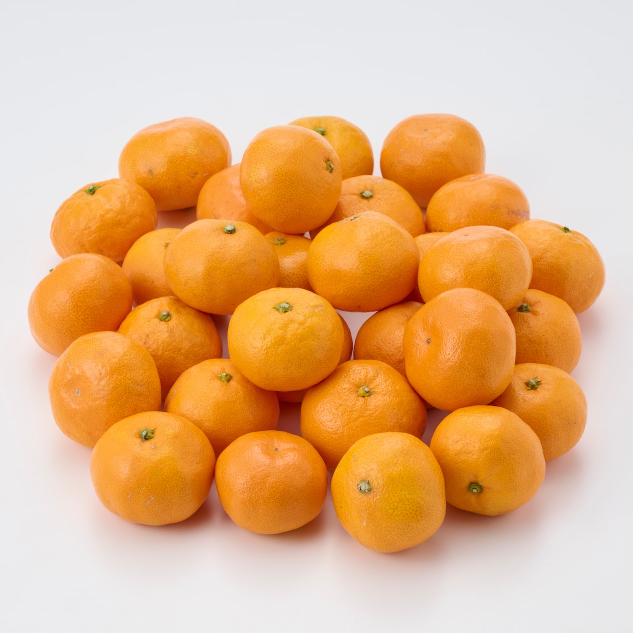 和歌山県産　早和果樹園の「有田みかん」　約５ｋｇ