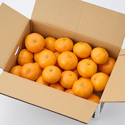 和歌山県産　早和果樹園の「有田みかん」　約５ｋｇ