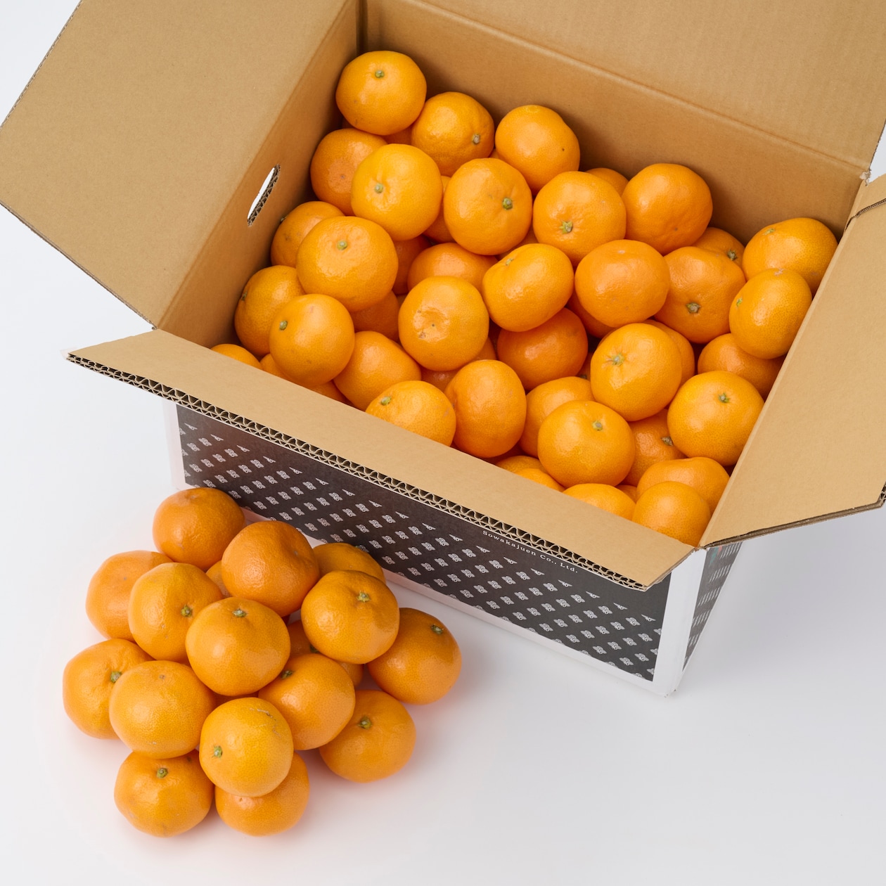 【送料込み】和歌山県産　早和果樹園の「有田みかん」　約１０ｋｇ